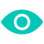 Vision